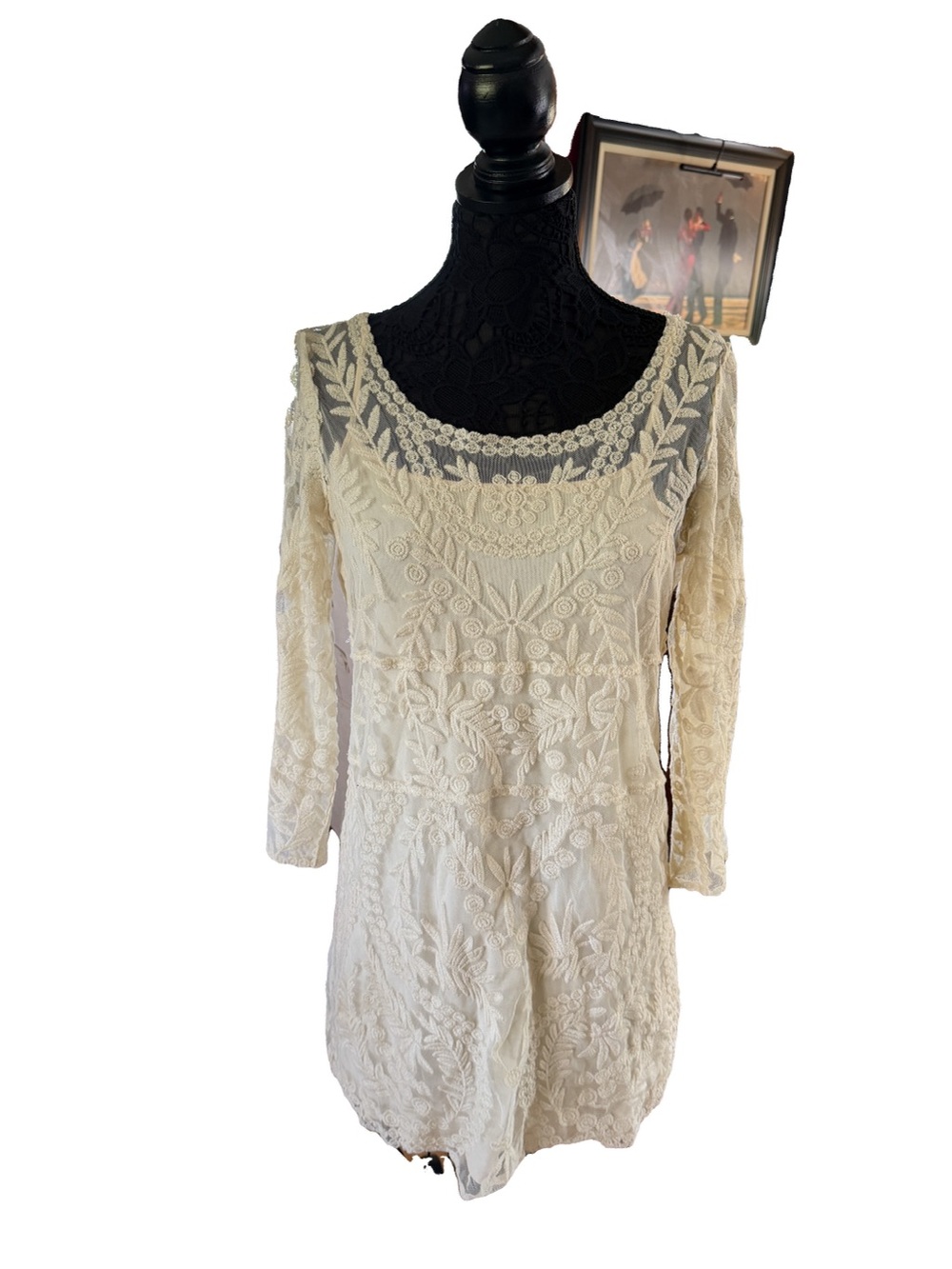 Express Cream Lace Embroidered Dress